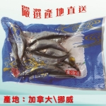 生凍柳葉魚